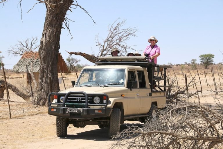 Open safari vehicle with guests on a game drive