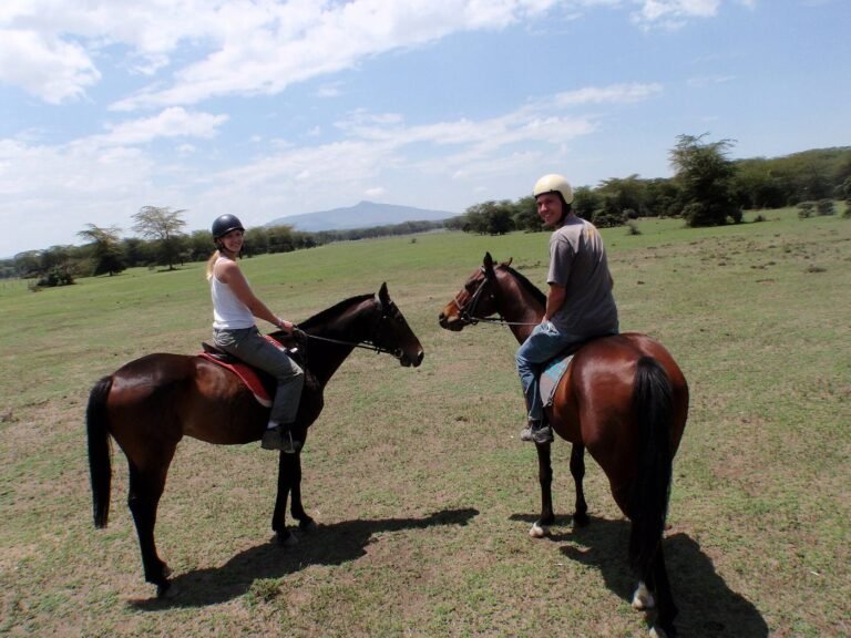 Two riders on horseback on an African plain