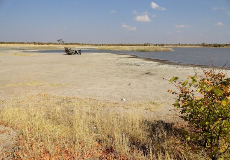 Dry open plains of Hwange National Park, Zimbabwe