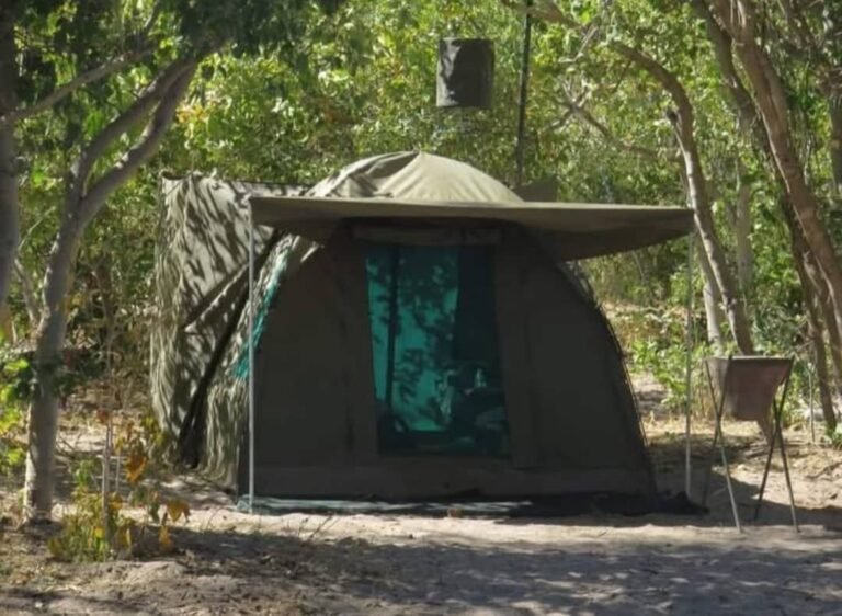 Single dome tent under trees on an Okavango Delta camping tour