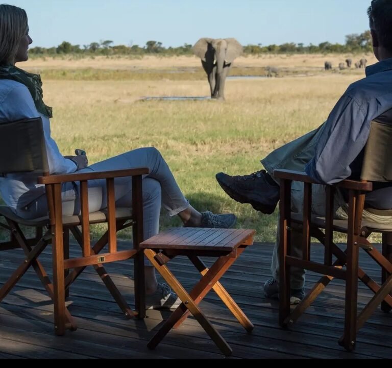 Guests on the deck at Elephant Sands Lodge watching an elephant