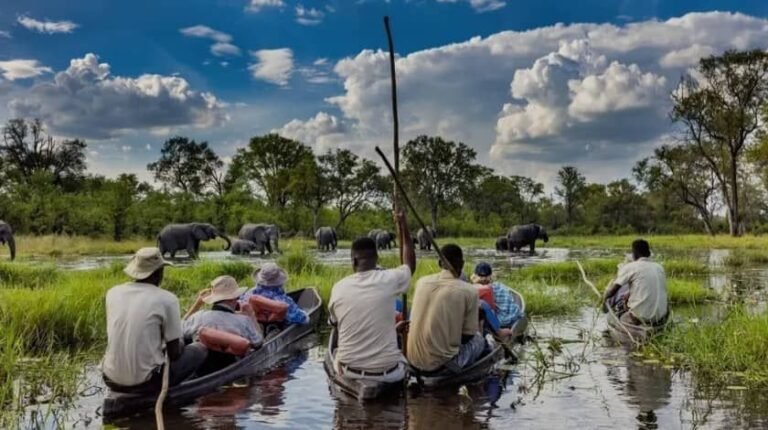 Guests gliding through the Okavango Delta in mokoro canoes with elephants nearby