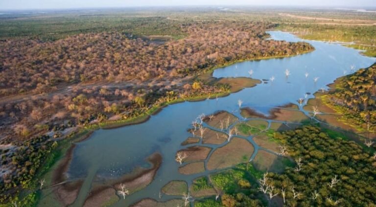 Aerial view of channels and islands in the Okavango Delta