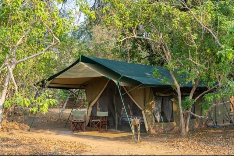 Canvas safari tent and chairs on an Okavango Delta camping tour