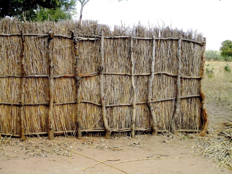Woven thatch fence around a homestead in a Zambian village